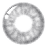 Lenstown ItsWater 1-Day Gray (10 Pack)